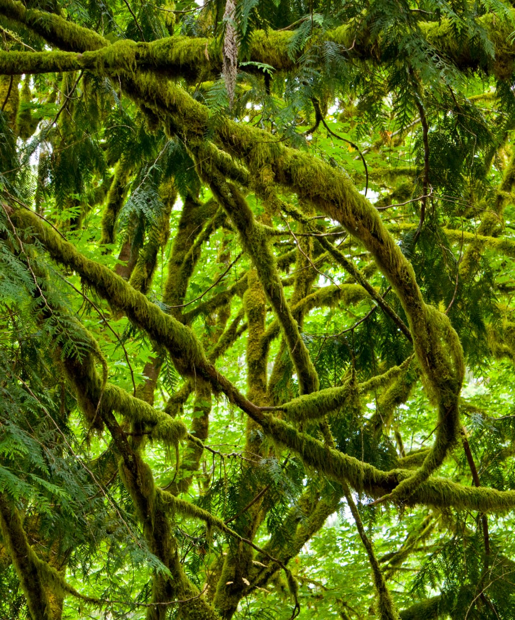 Updates from the news #4 spring 2024